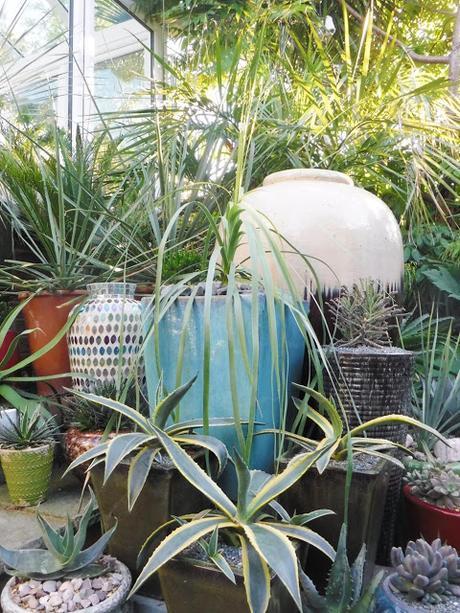 Colour on the Top Patio