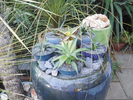 Colour on the Top Patio