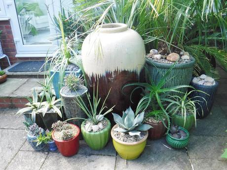 Colour on the Top Patio