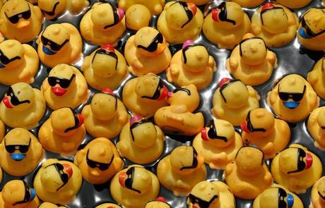 rubber ducky derby