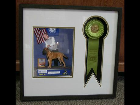 Creative Wooden Frame Dog Shadow Box