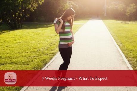 7 Weeks Pregnant – What To Expect (A Complete Guide)