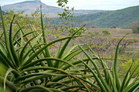 Visiting The Anglo Zulu Battlefields At Fugitives Drift, South Africa // Travel