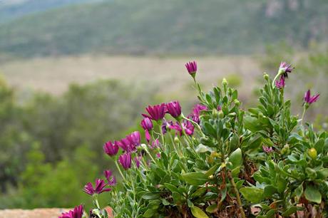 Visiting The Anglo Zulu Battlefields At Fugitives Drift, South Africa // Travel