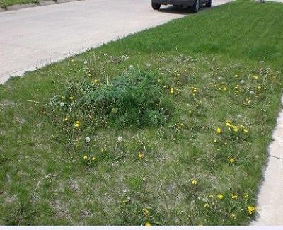 exterior home improvement on a budget1