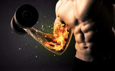 Can you build muscle AND burn fat at the same time?