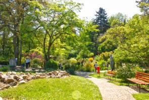 Cluj Botanical Garden