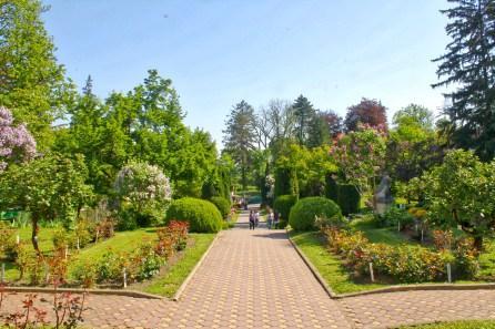 Cluj Botanical Garden
