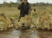 Killing Name “Conservation”?