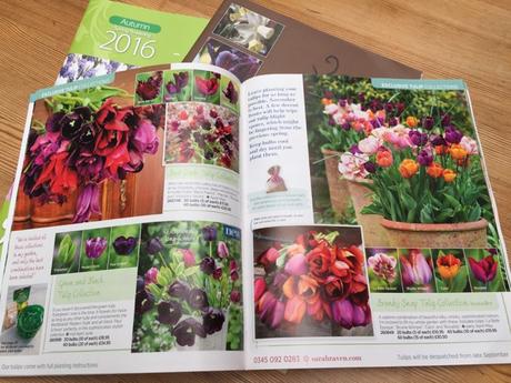 tulips in magazine