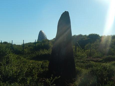 Goonhilly Downs