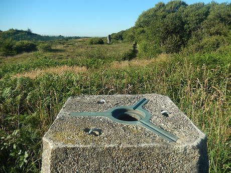 Goonhilly Downs