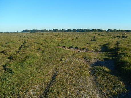 Goonhilly Downs