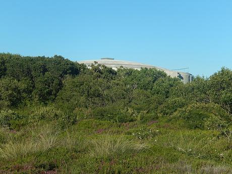 Goonhilly Downs