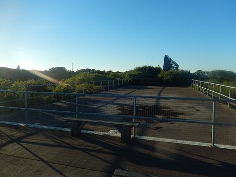 Goonhilly Downs