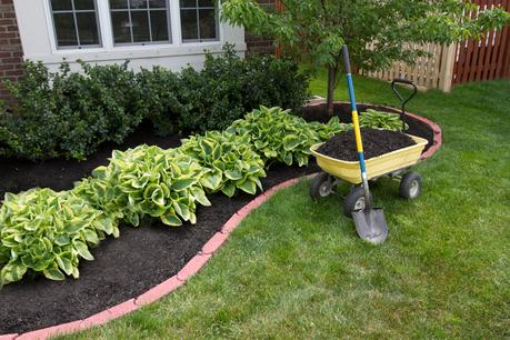 Ideas For Putting Mulch Backyard