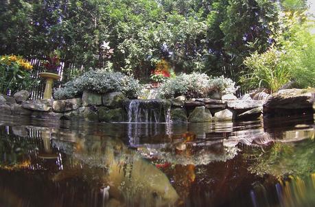 Effortless Diy Backyard Pond