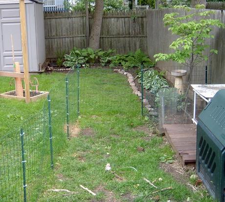 Backyard Dog Fence In Best Options