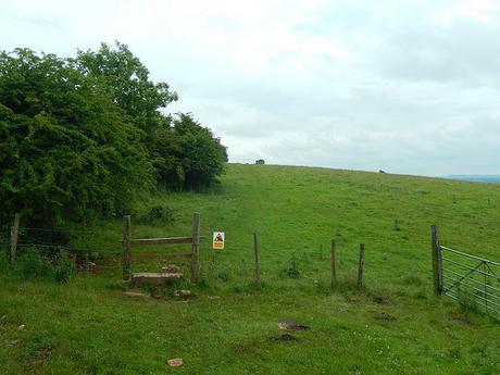 Pre-Walking in Priddy