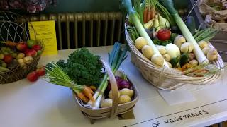 Trelawnyd Flower Show