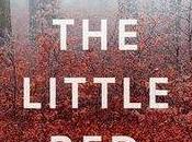 Little Chairs Edna O’Brien REVIEW