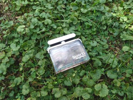 Franck Olivier Bamboo Eau de Parfum Spray Review