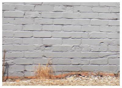 Relying on tradition and incomplete knowledge can be devastating