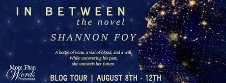 In Between: the Novel by Shannon Foy @MTWPromotions @inbetween_novel