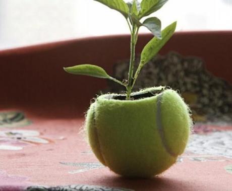 Top 10 Things You Can Make With Old Tennis Balls