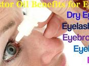 Castor Benefits Eyes (Eyelashes, Eyebrows, Eyelids, Etc)