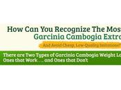 Garcinia Cambogia Ultra Slim Review