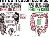 Colon Cleansing Important Before Drops Diet