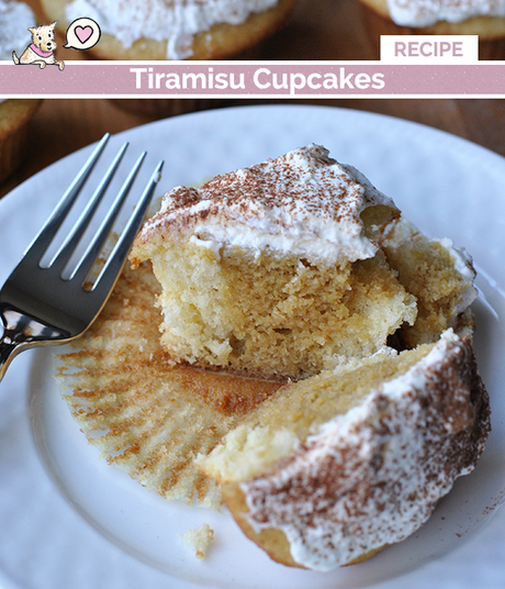 tiramisu cupcake recipe