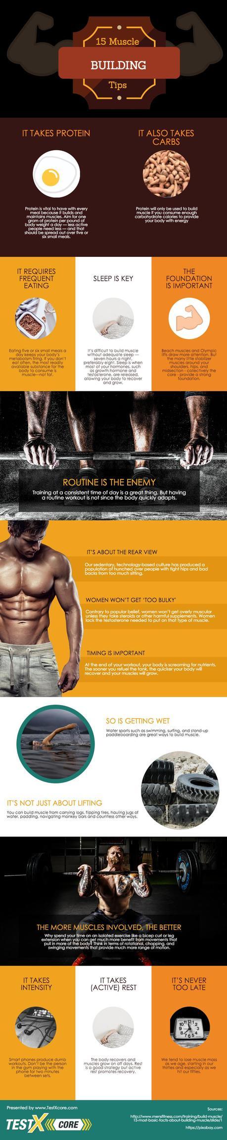 15 muscle building tips