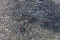 Using the Case Study Method in PhD Research