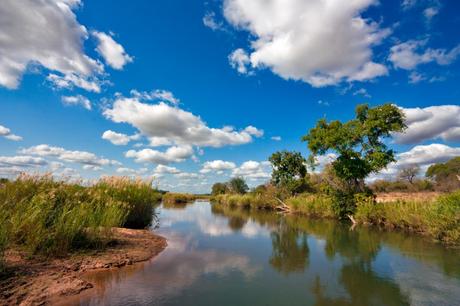 Kruger_National_Park