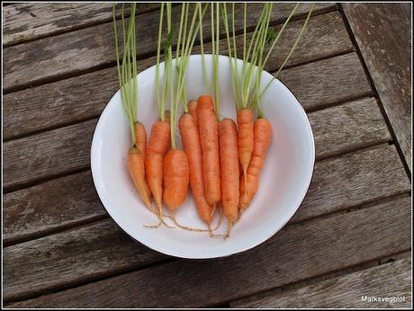 Cocktail Carrots