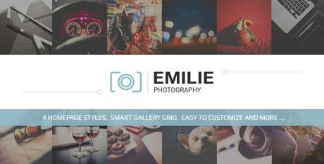 10+ Best Premium WordPress Themes September 2015 10+ Best Premium WordPress Themes September 2015