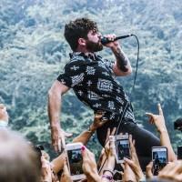 foals_1