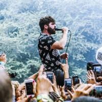 foals_2