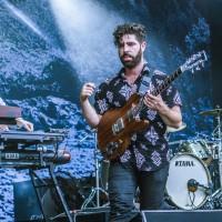 foals_4
