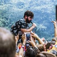 foals_3
