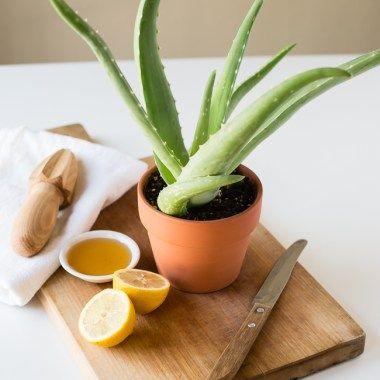 3 Best Homemade Aloe Vera Gel Acne Facial Mask