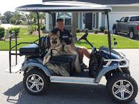 Should You Buy a #Golf Cart?