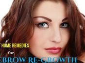 Best Home Remedies Quick Eyebrow Re-Growth