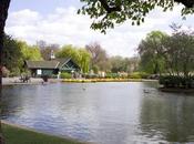 Summer #London #SchoolHolidays Boating Regent's Park @theroyalparks