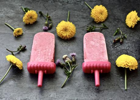 Raspberry Coconut Popsicles (Paleo, Vegan, Whole 30, AIP, Low FODMAP, GAPS, SCD)