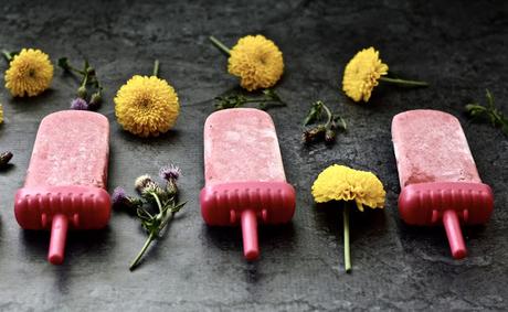 Raspberry Coconut Popsicles (Paleo, Vegan, Whole 30, AIP, Low FODMAP, GAPS, SCD)