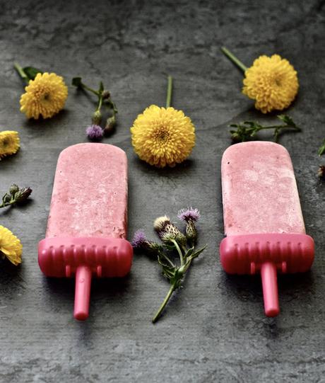 Raspberry Coconut Popsicles (Paleo, Vegan, Whole 30, AIP, Low FODMAP, GAPS, SCD)