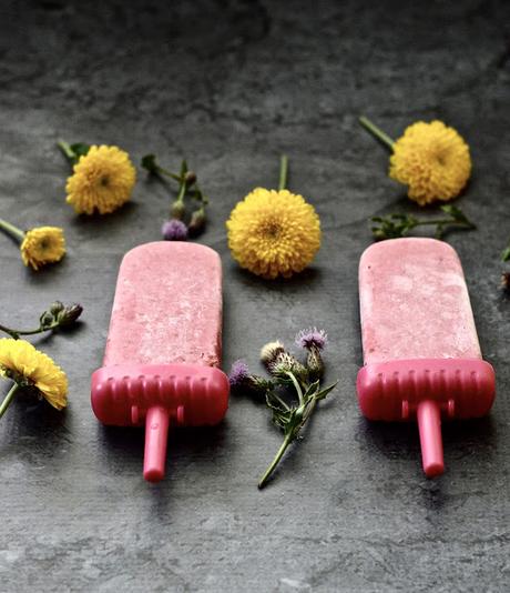 Raspberry Coconut Popsicles (Paleo, Vegan, Whole 30, AIP, Low FODMAP, GAPS, SCD)